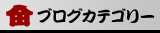 ブログカテゴリ