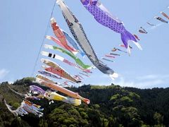 koi